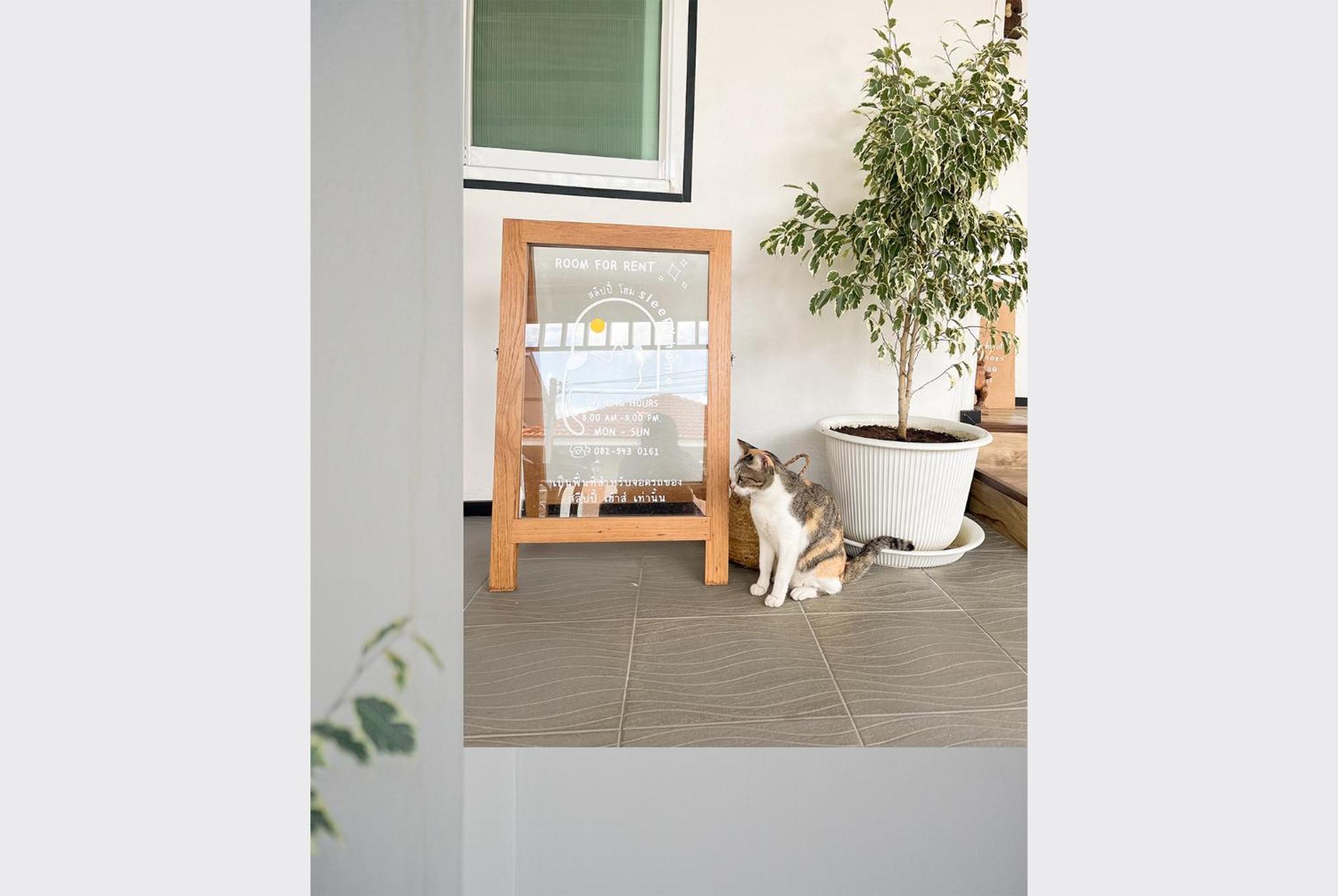 Sleepy House Chiang Rai Bed and Breakfast Εξωτερικό φωτογραφία