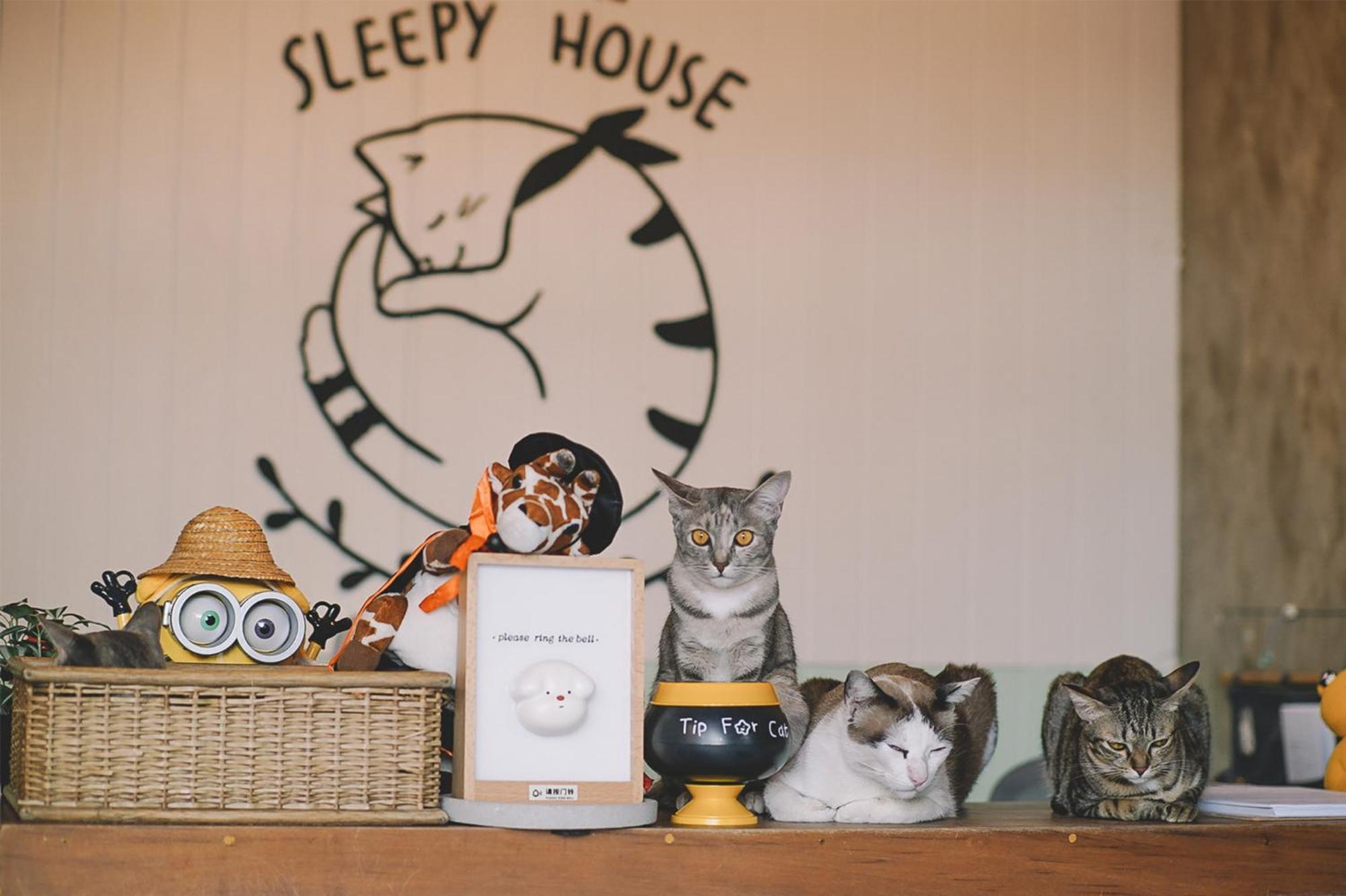 Sleepy House Chiang Rai Bed and Breakfast Εξωτερικό φωτογραφία