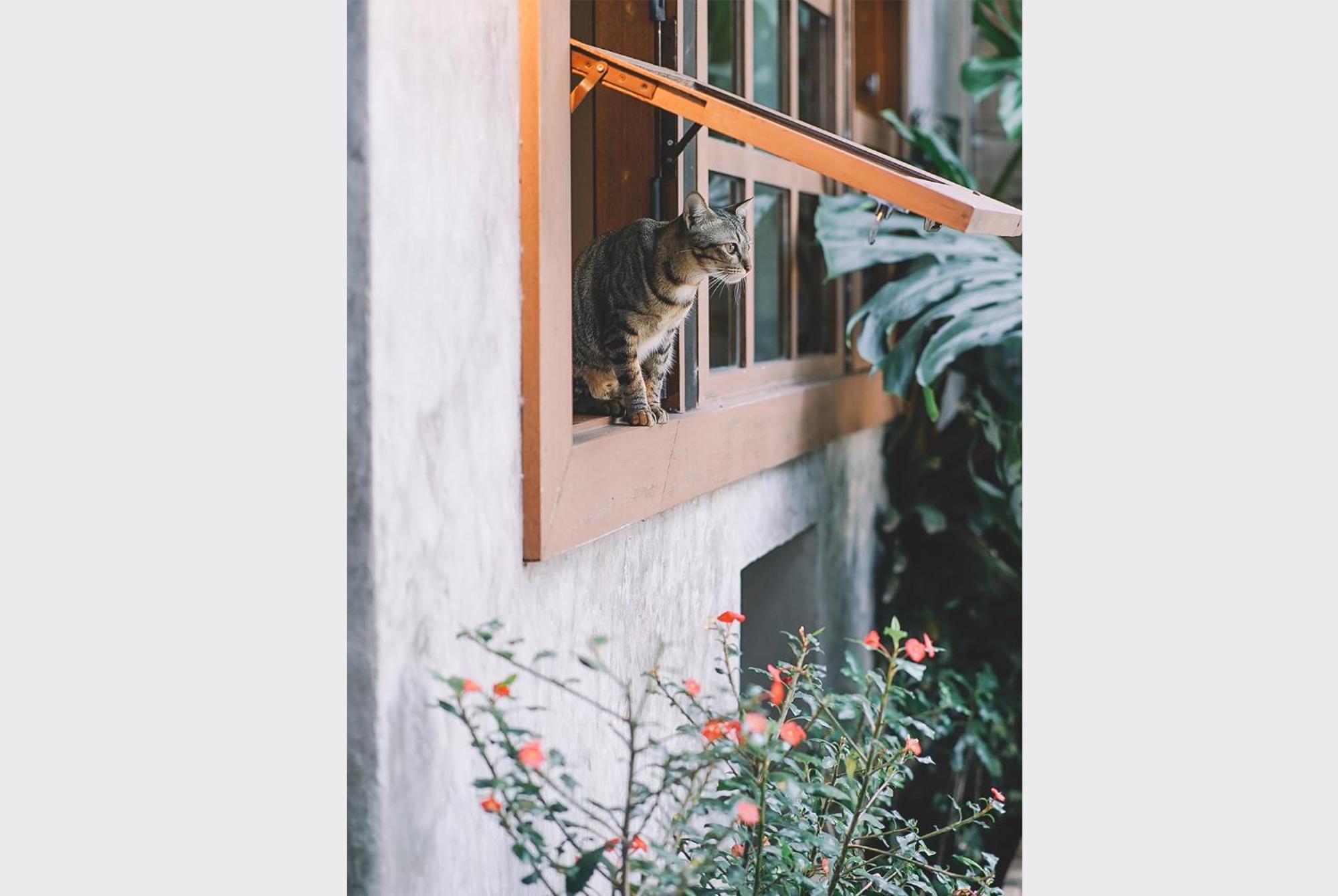 Sleepy House Chiang Rai Bed and Breakfast Εξωτερικό φωτογραφία