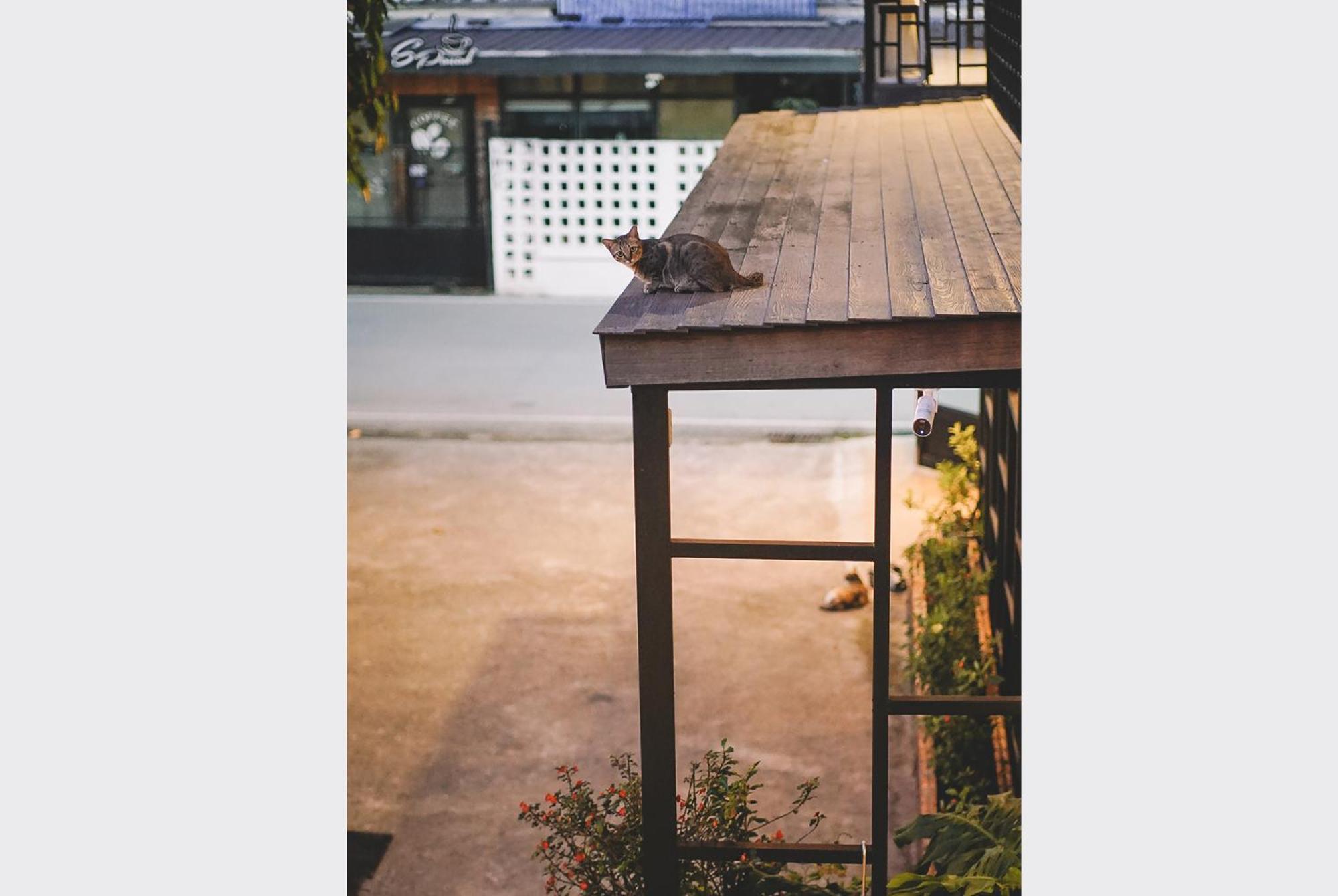 Sleepy House Chiang Rai Bed and Breakfast Εξωτερικό φωτογραφία